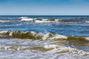 Plukių 2A apartamentai Palangoje, Palanga